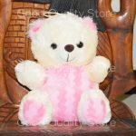 Cute Teddy Bear Stuffed For Kids 0001 on FancyMart.pk