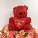 Stuffed Teddy Bear Holding Heart 0002 on FancyMart.pk